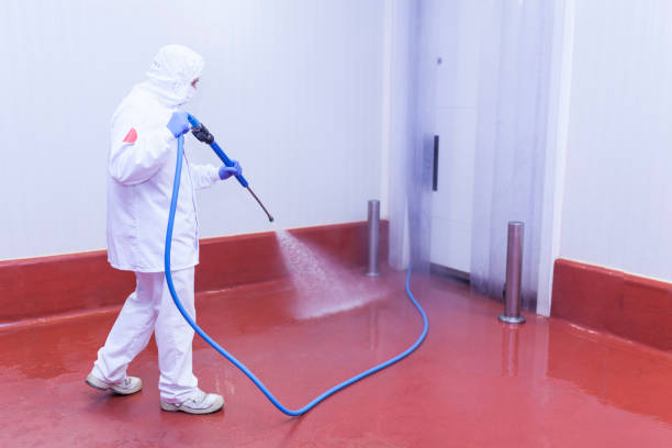 Pre-Holiday Cleaning in Alamo Heights, TX