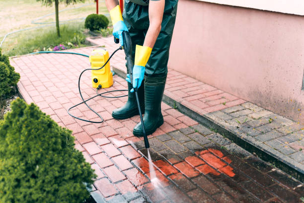 Best Driveway Pressure Washing  in Alamo Heights, TX