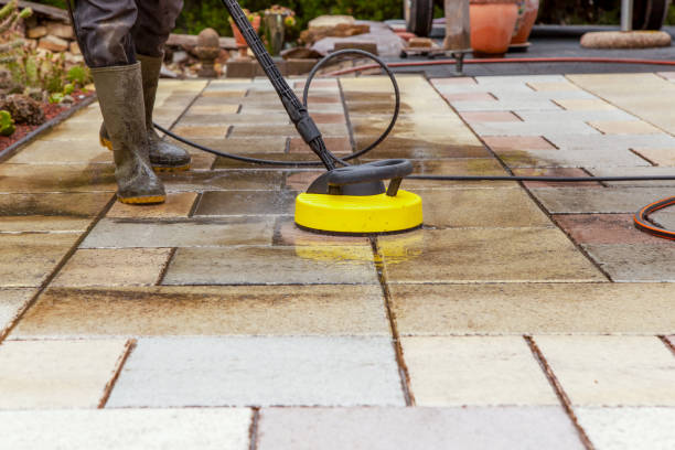 Best Dumpster Area Cleaning  in Alamo Heights, TX